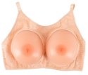 Breasts with Bra Breasts with Bra