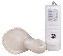 BottiShelly Vibro-shell BottiShelly Vibro-shell