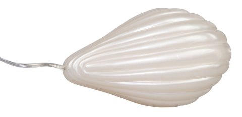 BottiShelly Vibro-shell BottiShelly Vibro-shell