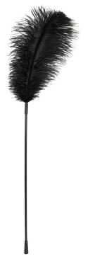 Black feather Bad Kitty Black feather Bad Kitty
