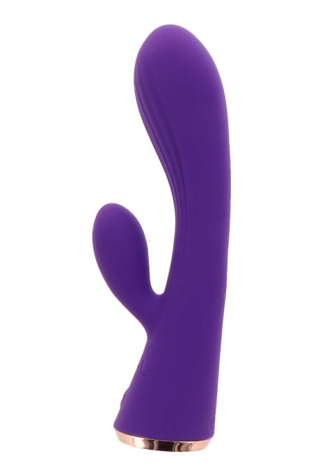 Iris Iris