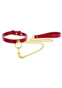 O-Ring Collar and Chain Leash O-Ring Collar and Chain Leash