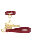 O-Ring Collar and Chain Leash O-Ring Collar and Chain Leash