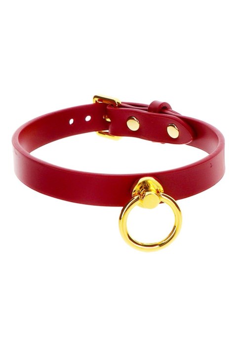 O-Ring Collar O-Ring Collar