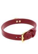 O-Ring Collar O-Ring Collar