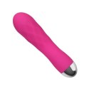 Vibratore e massaggiatore Pro Delight Vibratore e massaggiatore Pro Delight