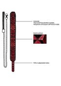 Luxury Collar with Leash - Burgundy Luxury Collar with Leash - Burgundy
