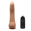 Dildo zakrzywiony penis przyssawka pilot 28 cm Dildo zakrzywiony penis przyssawka pilot 28 cm