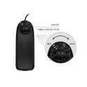 BAILE-Beautiful Burag Vibration 9.4"" BAILE-Beautiful Burag Vibration 9.4""