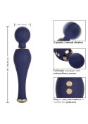 Chic Poppy Blue Chic Poppy Blue