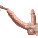 BAILE -STRAP ON DOUBLE DILDOS, 7.1''+5.9'' BAILE -STRAP ON DOUBLE DILDOS, 7.1''+5.9''