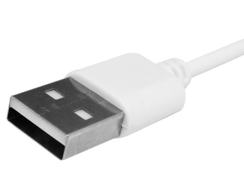 Kabel ładujący do Smartwatcha GIEWONT GW230 GW330 GW460 2,5 mm GWK6 Kabel ładujący do Smartwatcha GIEWONT GW230 GW330 GW460 2,5 mm GWK6