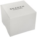 Zegarek Męski Skagen Signatur SKW6902 + BOX