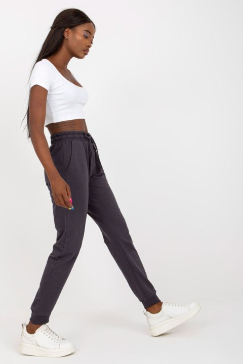 Spodnie Dresowe Model B-006.93 Grafit - BFG BFG Spodnie Dresowe Model B-006.93 Grafit - BFG BFG