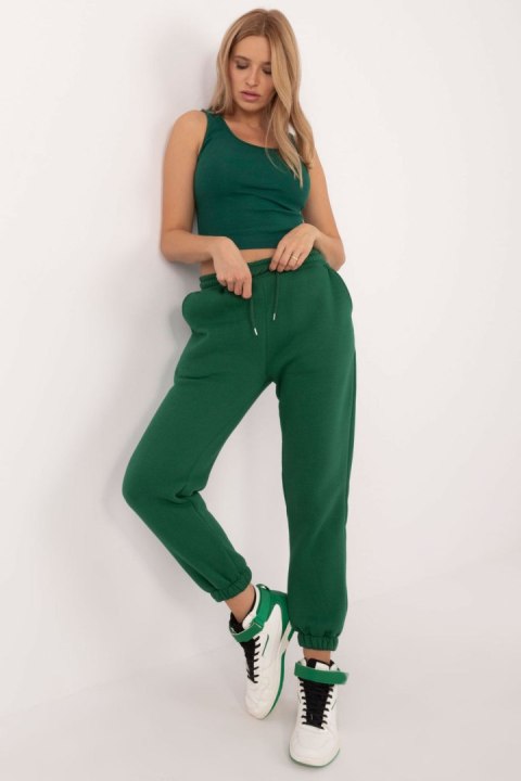 Spodnie Komplet Model EM-KMPL-847.69 Dark Green - Factory Price Factory Price Spodnie Komplet Model EM-KMPL-847.69 Dark Green - Factory Price Factory Price