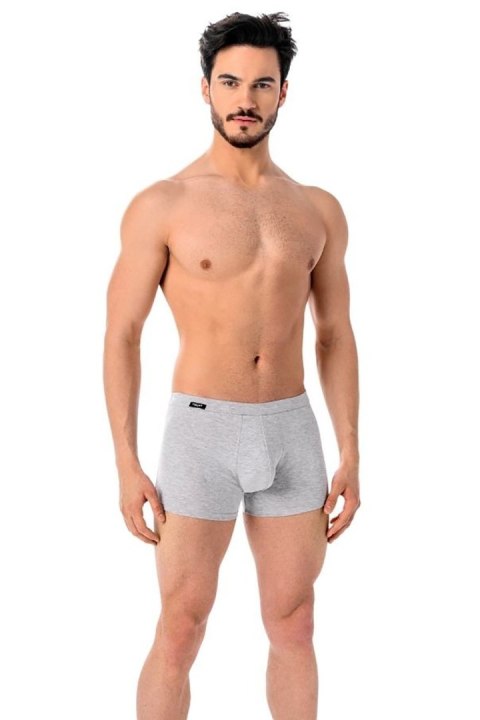 Bokserki Model Levi 801 Grey - Teyli Teyli Bokserki Model Levi 801 Grey - Teyli Teyli