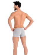 Bokserki Model Levi 801 Grey - Teyli Teyli Bokserki Model Levi 801 Grey - Teyli Teyli