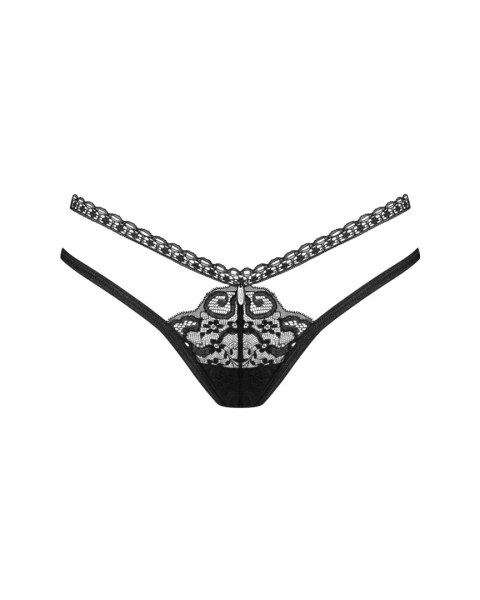 STRINGI BLOMENTIS STRINGI BLOMENTIS