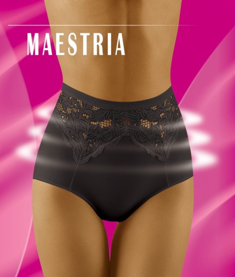FIGI MAESTRIA FIGI MAESTRIA