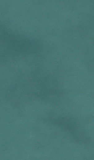 KOSZULKA CAMISOLE 610 KOSZULKA CAMISOLE 610
