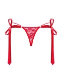 STRINGI LOVLEA STRINGI LOVLEA