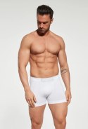 BOKSERKI BOXER COTTON