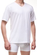 KOSZULKA AUTHENTIC 201 NEW KOSZULKA AUTHENTIC 201 NEW