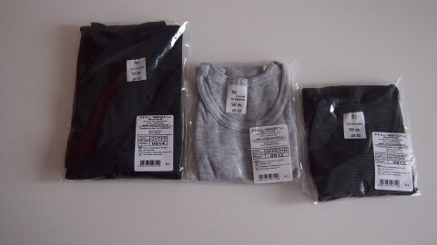 PODKOSZULEK CHŁOPIĘCY 0614 DR R.146-158 SALE PODKOSZULEK CHŁOPIĘCY 0614 DR R.146-158 SALE