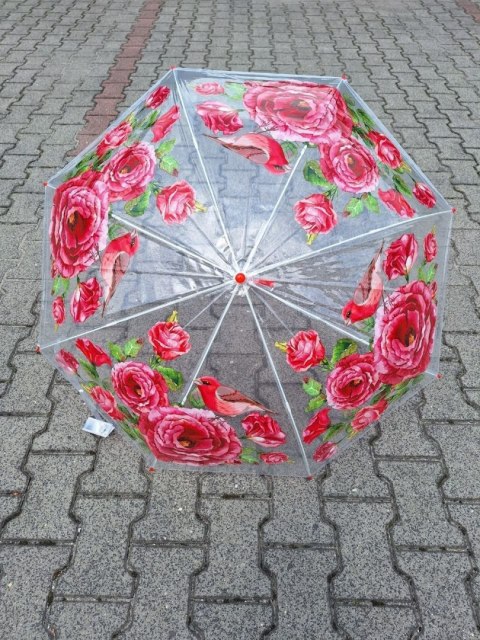 PARASOL DA154/LD20 PARASOL DA154/LD20