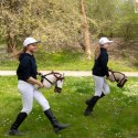 Hobby Horse Skippi - Biszkopt - duży koń na kiju - A3 - kantar w zestawie