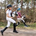 Hobby Horse Skippi - Gniado - srokaty - duży koń na kiju - A3 - z kantarem
