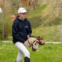 Hobby Horse Skippi - Karmel - duży koń na kiju - A3 - kantar w zestawie