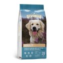 Divinus Adult dla psów dorosłych 20kg Divinus Adult dla psów dorosłych 20kg