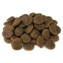 Arquivet GRAIN FREE Indyk z warzywami 12 kg Arquivet GRAIN FREE Indyk z warzywami 12 kg