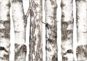 Podkładka - BRZOZY - 29 cm x 42 cm