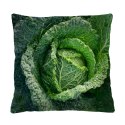 Poduszka - CABBAGE 40x40 cm Poduszka - CABBAGE 40x40 cm