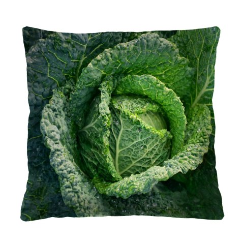 Poduszka - CABBAGE 40x40 cm Poduszka - CABBAGE 40x40 cm