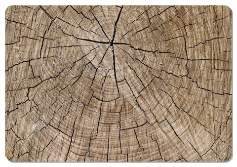 Podkładka - DĄB - 29 cm x 42 cm Podkładka - DĄB - 29 cm x 42 cm