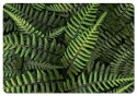 Podkładka - FERNS - 29 cm x 42 cm Podkładka - FERNS - 29 cm x 42 cm