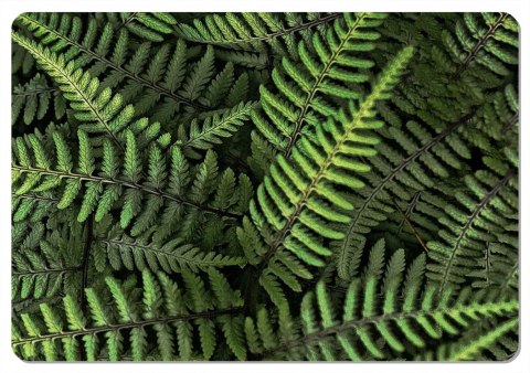 Podkładka - FERNS - 29 cm x 42 cm Podkładka - FERNS - 29 cm x 42 cm