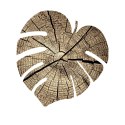 Podkładka Monstera M 33x33 cm gr. 4 mm - Dąb Podkładka Monstera M 33x33 cm gr. 4 mm - Dąb