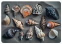 Podkładka - SHELLS - 29 cm x 42 cm Podkładka - SHELLS - 29 cm x 42 cm