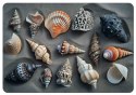 Podkładka na biurko Shells 50x70 cm Podkładka na biurko Shells 50x70 cm