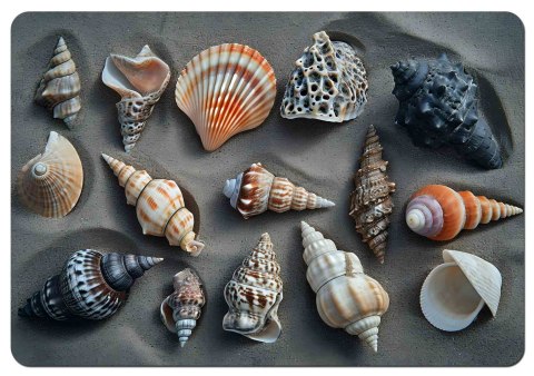 Podkładka na biurko Shells 50x70 cm Podkładka na biurko Shells 50x70 cm