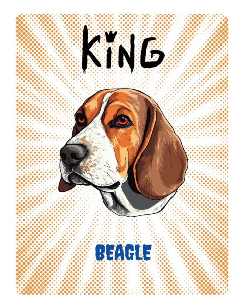 TABLICZKA KING BEAGLE - 20x28 cm TABLICZKA KING BEAGLE - 20x28 cm