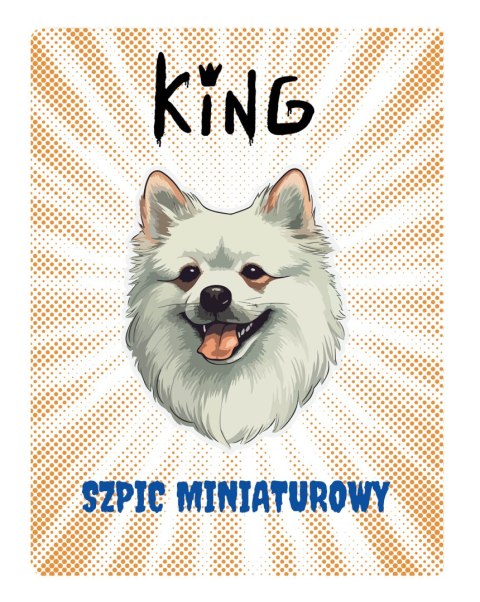 TABLICZKA KING SZPIC - 20x28 cm TABLICZKA KING SZPIC - 20x28 cm
