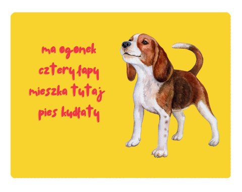 TABLICZKA MERDAJĄCY OGONEK BEAGLE - 20x28 cm TABLICZKA MERDAJĄCY OGONEK BEAGLE - 20x28 cm