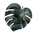Podkładka Monstera D 40x40 cm gr. 4 mm - Mallorca Podkładka Monstera D 40x40 cm gr. 4 mm - Mallorca