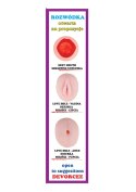 Lalka dmuchana naturalne rozmiary masturbator 3d Lalka dmuchana naturalne rozmiary masturbator 3d